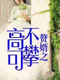 赘婿高不可攀主角叶辰夏若雪